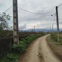 زمین-مسکونی-و-باغ-کیوی-نزدیک-دریا