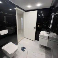 واحدعالی درمیرزارضاکرمانی