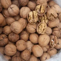 فروش عمده مغزدوپر|خوردنی و آشامیدنی|رشت, یخسازی|دیوار