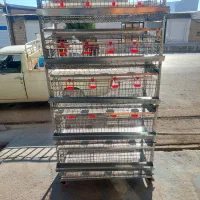 تجهیزات کامل بلدرچین