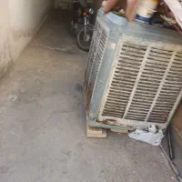 دورود یک عدد پوسته کولرآبی