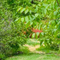 تانکر آب ۲۰ هزارلیتری ورق سیاه