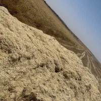 فروش کاه گندم دیم خرمن
