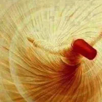 آموزش رقص گروهی و خصوصی