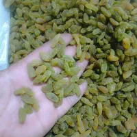 کشمش و مویز کاشمر|خوردنی و آشامیدنی|سبزوار, توحیدشهر|دیوار