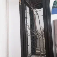 قفس پرنده