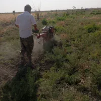 کار های باغبانی انجام میشود