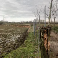 ۱۰۰۰ مترزمین مسکونی/سرمایه گزاری /رضوانشهر|فروش زمین و ملک کلنگی|رضوانشهر, |دیوار