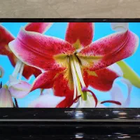تلویزیون ۴۰ اینچ LED شارپ 40LE3550X|تلویزیون و پروژکتور|ساوه, |دیوار
