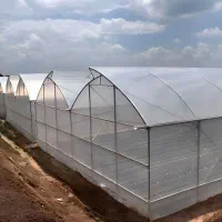 ساخت گلخانه صنعتی