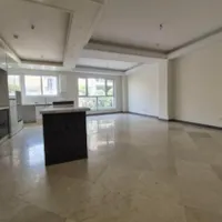 فرصت طلایی، ۱۱۵ متری خوش نور و بی نقص