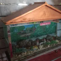 کاملا سالم|ماهی|بروجرد, |دیوار