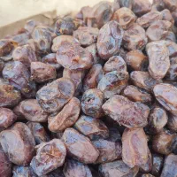 خرمای کبکاب درجه یک پاک کرده