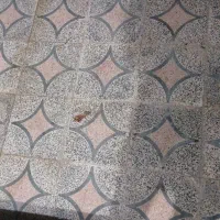 باسلام یک عدد سگه