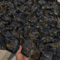 متنوع ترین پارچه زنانه