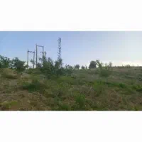 باغ بادم ثمری معاوضه با خودرو|فروش زمین و ملک کلنگی|کوهمره, |دیوار