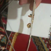 عینک آمریکایی|کلکسیون اشیاء عتیقه|شهرکرد, |دیوار