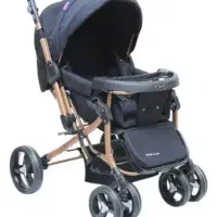 کالسکه دلیجان