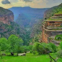 تور طبیعت گردی با دوستان خوب