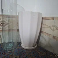 گلدان کاملا نو