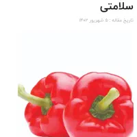 نیروی جهت سورتینگ
