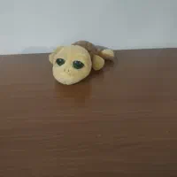 عروسک|اسباب‌‌بازی|قوچان, |دیوار