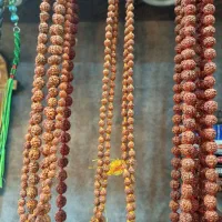 رودراکشا|صنایع دستی و سایر لوازم تزئینی|اصفهان, جلفا|دیوار