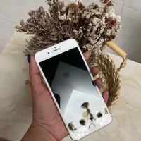 ایفون ۸ پلاس ۲۵۶|موبایل|رشت, شهرک آیت الله منتظری|دیوار