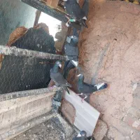 ۱۰تاپرشی ضمانت