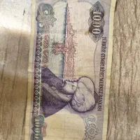 لیر کلکسیونی|کلکسیون سکه، تمبر، اسکناس|تهران, فلسطین (میدان انقلاب)|دیوار