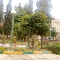 نیروی خدمات