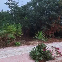 فروش فوری زمین۲۱۱متری با بر ۸متر براصلی خیابان