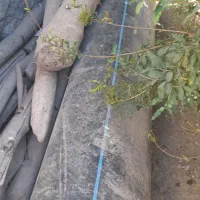 لوله بزرگ برای انتقال آب پل و جوب آب|مصالح و تجهیزات ساختمان|قلعه شاهین, |دیوار