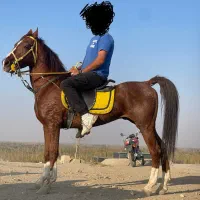 اسب دره شور