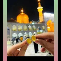 اتوبوس (اسکانیا راحت