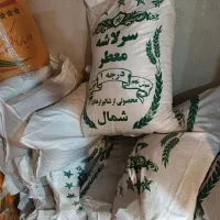 برنج سرلاشه درجه یک عطری