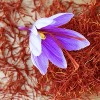 زعفران اصل به شرط ضمانتی|خوردنی و آشامیدنی|شیراز, گویم|دیوار