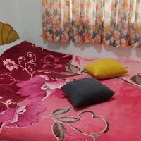 اجاره آپارتمان مبله در بلوار صلح|اجارهٔ کوتاهمدت آپارتمان و سوئیت|شیراز, فرگاز|دیوار