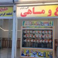 پاکترین مرغ ماهی فروشی شهر