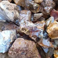 سنگ زیبای زینتی وشجر