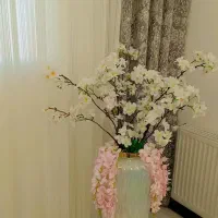 گل و شکوفه  نو مناسب جهیزیه