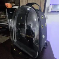 کیف کوله حمل پرنده