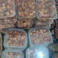 خرمای زاهدی