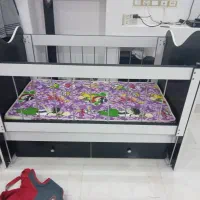 تخت بچه|تخت و صندلی بچه|ماهدشت, |دیوار
