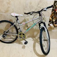 دوچرخه رالی ۲۶