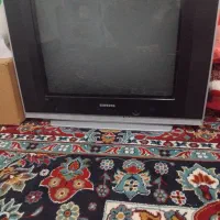 تلویزون|تلویزیون و پروژکتور|لالجین, |دیوار