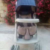 کالسکه و کریر|کالسکه و لوازم جانبی|گنبد کاووس, |دیوار