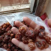 بسته|آرایشی، بهداشتی، درمانی|شهرکرد, |دیوار