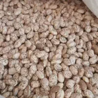لولیا چیتی لرستان خوش پخت