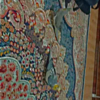 چهار عدد عروس هلندی معاوضه با پرنده سخنگو|پرنده|سنندج, |دیوار